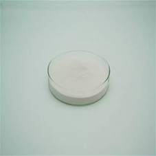 BR-21 (Slump-retaining)